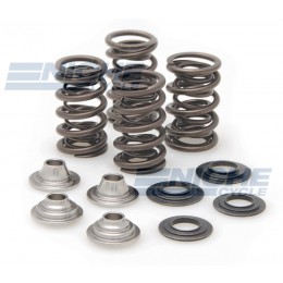 Spring Kit, .415" Lift In/Ex, Kawasaki, 40-40660